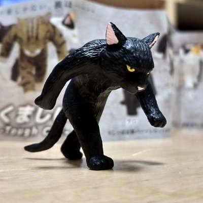黒猫のアイコン